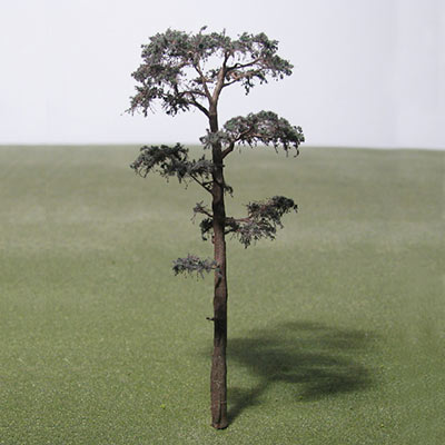 100mm Scots Pine model tree