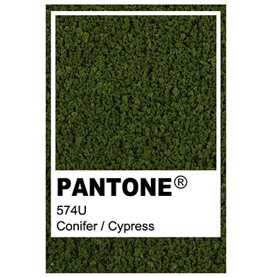 Foliage colour Pantone 574U