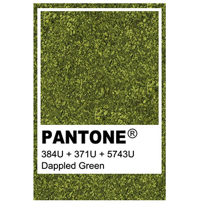 Foliage colour Pantone 384U + 371U + 574U