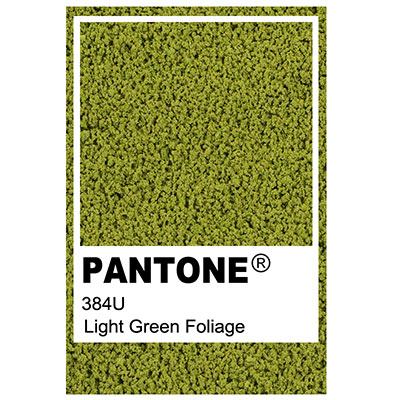 Foliage colour Pantone 384U