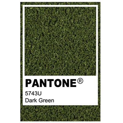 Foliage colour Pantone 5747U