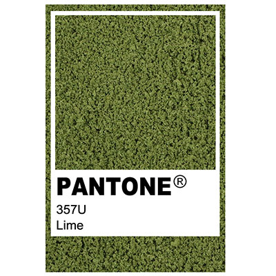 Foliage colour Pantone 357U