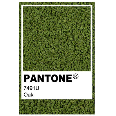 Foliage colour Pantone 7491U