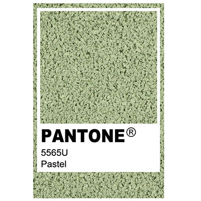 Foliage colour Pantone 5565U