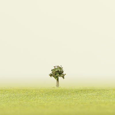 6mm dark green model tree