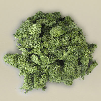 Lichen dark green 250g