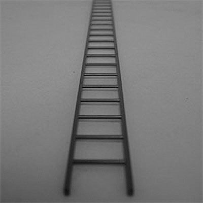 1:25 ladder