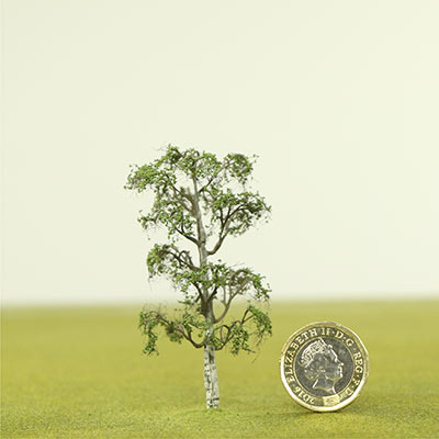 75mm Silver birch model tree