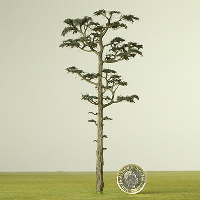 150mm Scots Pine model tree