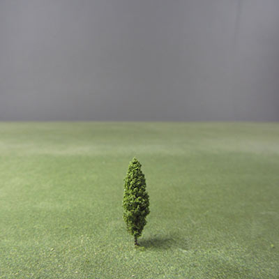 30mm poplar model tree