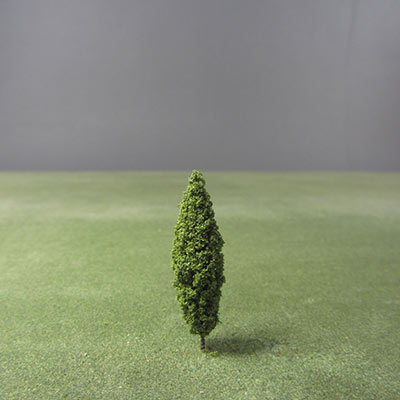 42mm poplar model tree