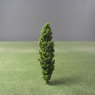 60mm poplar model tree