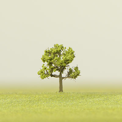 15mm medium green model tree