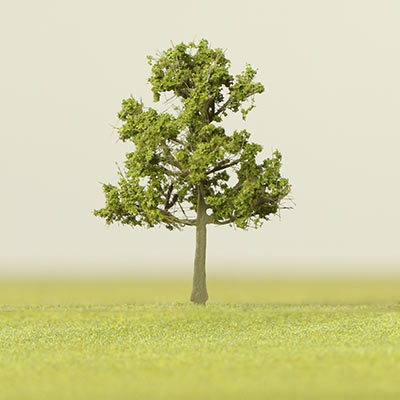 30mm medium green model tree