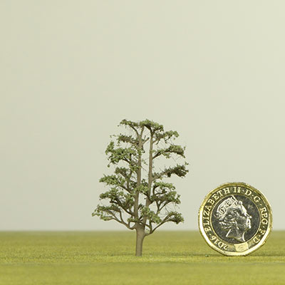 50mm Lime model tree
