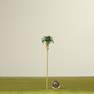1:150 Palm Tree