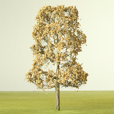 Cork model tree