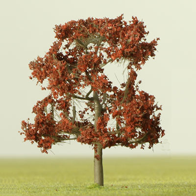Copper beech model tree