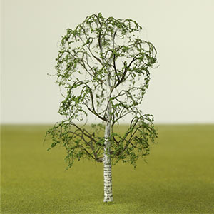 Silver birch model tree