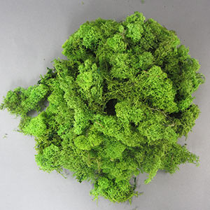Lichen medium green 250g