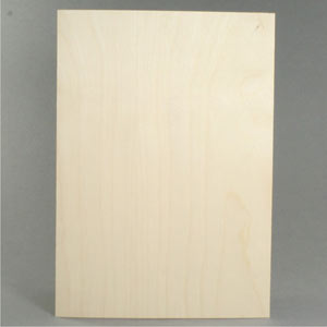 Veneer paper-backed (birch)
