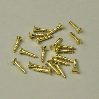 Brass screws 2 × Pk20