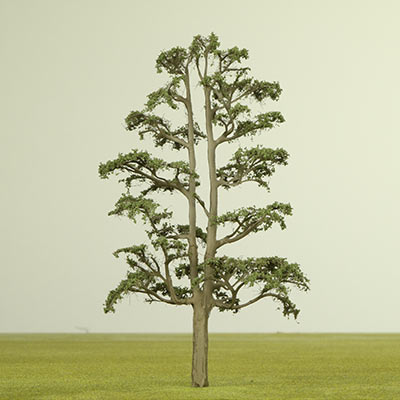 Lime model tree