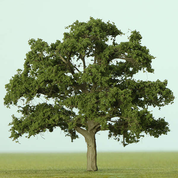 Sycamore model tree