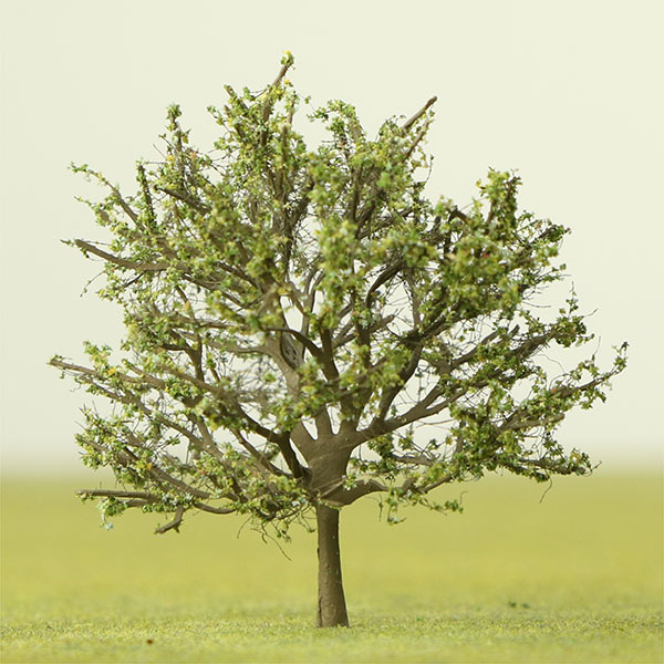 Indian horse chestnut model tree