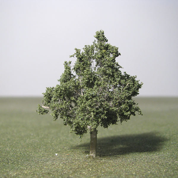 Italian Alder model tree