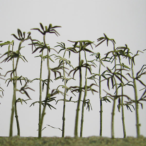 Model bamboo plant