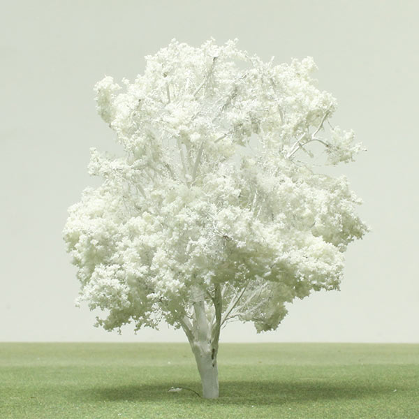 Coast banksia model tree