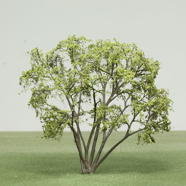 Cherry birch model tree