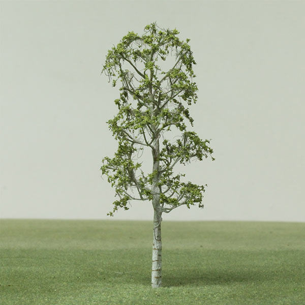 Silver Birch model tree