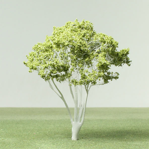 Himalayan birch model tree