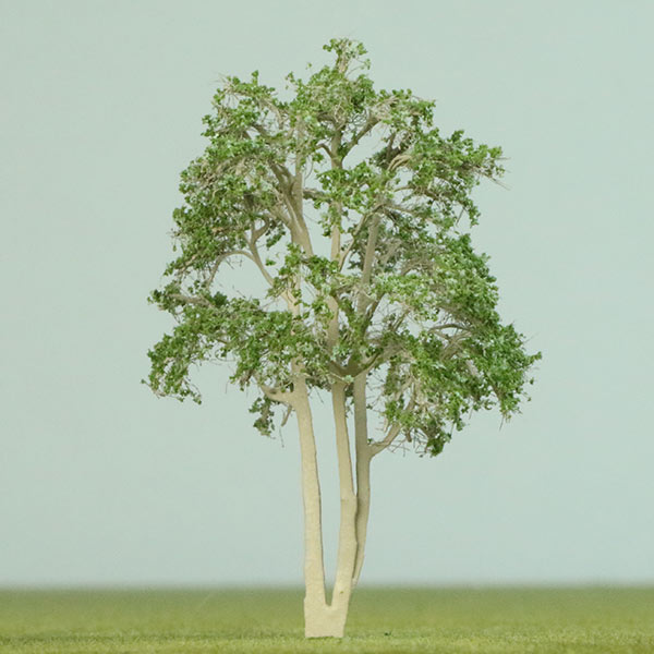 Australia umbrella model tree