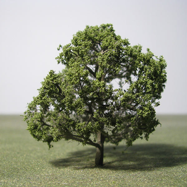 Model Hornbeam trees
