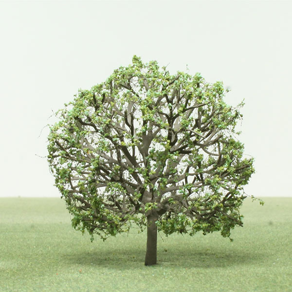 Common hornbeam model tree
