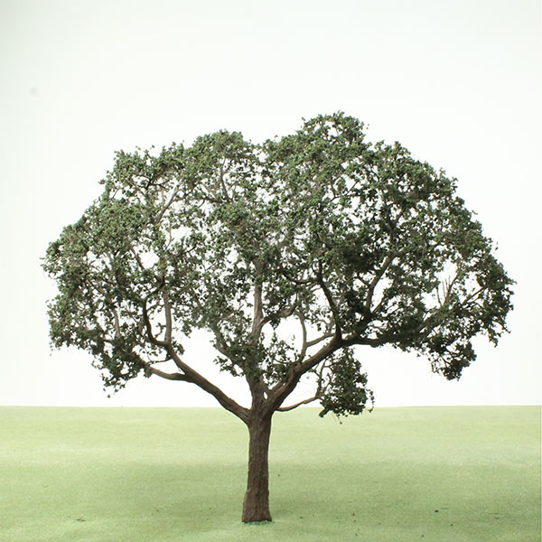 Model Chestnut trees