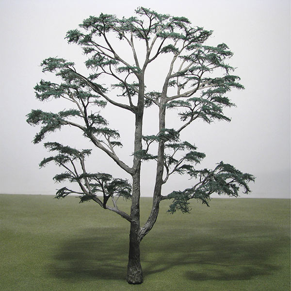 Cedar of Lebanon model tree