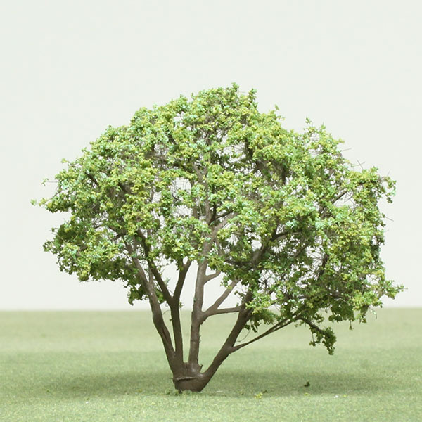 Multi stem flowering dogwood model tree
