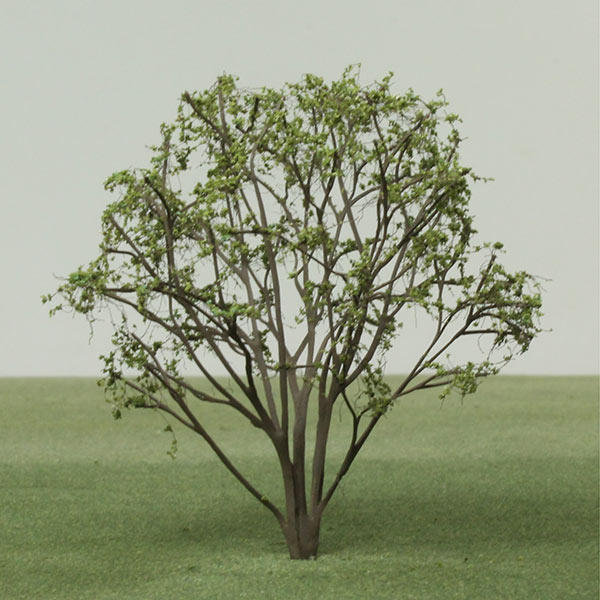Hazel sapling model tree