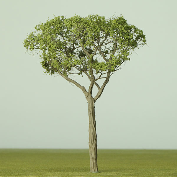 Bloodwood model tree