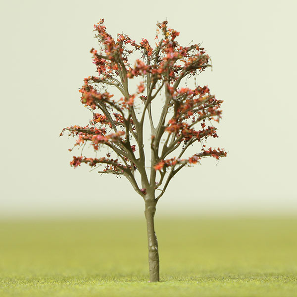 Royal poinciana model tree