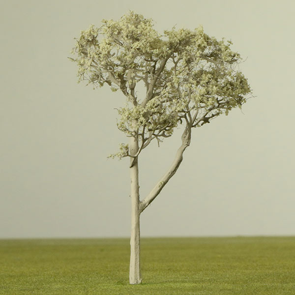 Eucalyptus model tree