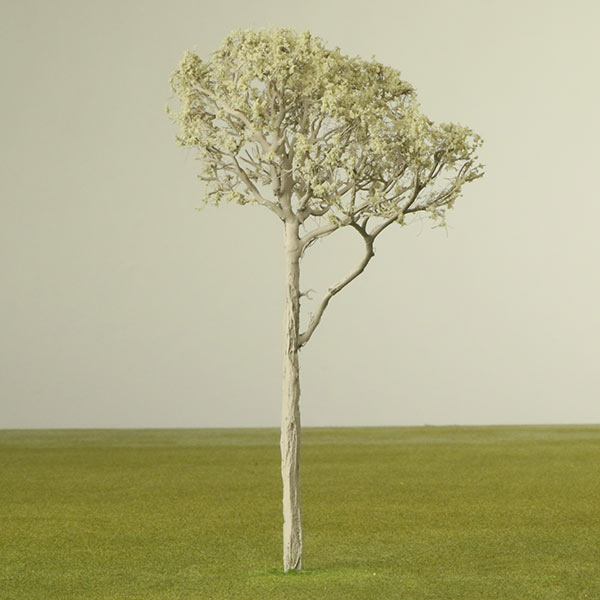 Eucalyptus model tree