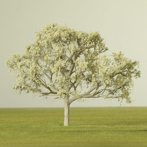 Mallee model tree