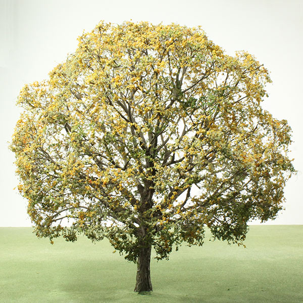 Model trees in Spring foliage