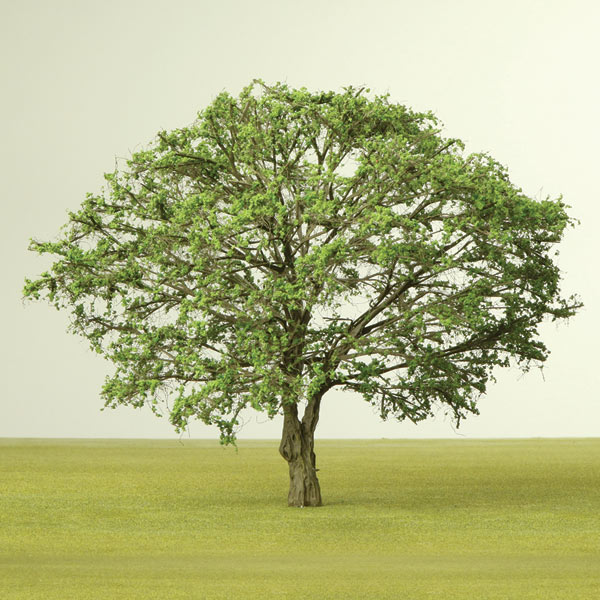 Bespoke model trees