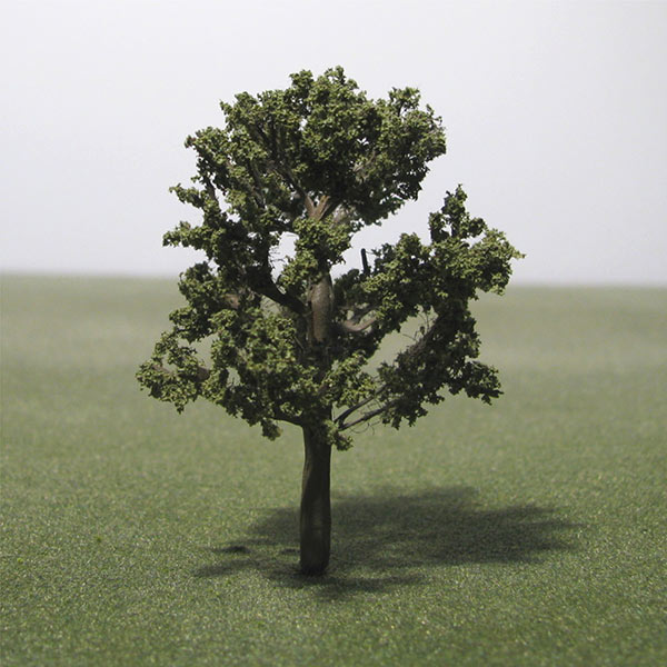 Raywood Ash model tree